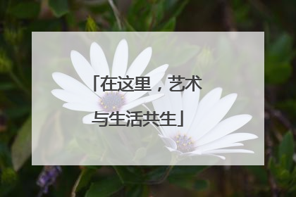 在这里，艺术与生活共生