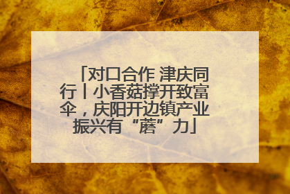 对口合作 津庆同行丨小香菇撑开致富伞，庆阳开边镇产业振兴有“蘑”力