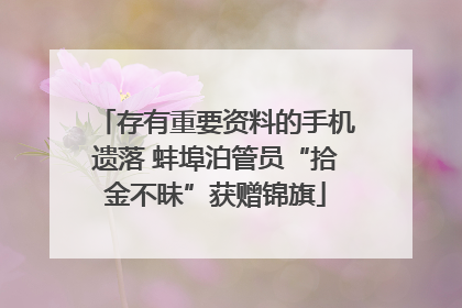存有重要资料的手机遗落 蚌埠泊管员“拾金不昧”获赠锦旗