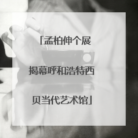 孟柏伸个展 揭幕呼和浩特西贝当代艺术馆