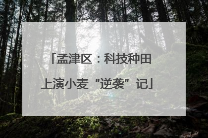 孟津区：科技种田 上演小麦“逆袭”记
