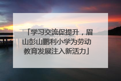 学习交流促提升，眉山彭山鹏利小学为劳动教育发展注入新活力