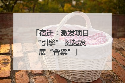 宿迁：激发项目“引擎” 挺起发展“脊梁”