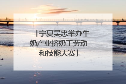 宁夏吴忠举办牛奶产业挤奶工劳动和技能大赛