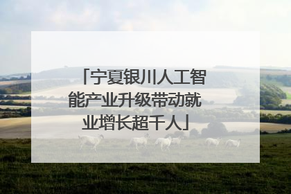 宁夏银川人工智能产业升级带动就业增长超千人