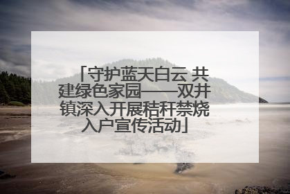 守护蓝天白云 共建绿色家园——双井镇深入开展秸秆禁烧入户宣传活动