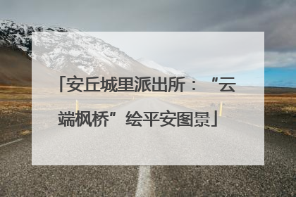安丘城里派出所：“云端枫桥”绘平安图景