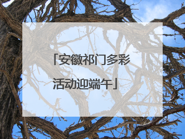 安徽祁门多彩活动迎端午