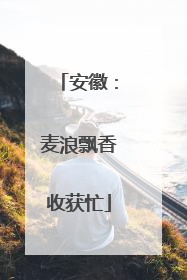 安徽：麦浪飘香收获忙