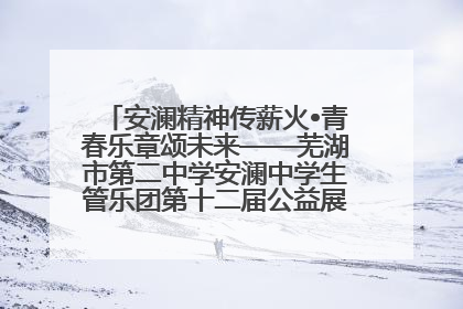安澜精神传薪火•青春乐章颂未来——芜湖市第二中学安澜中学生管乐团第十二届公益展演圆满举行