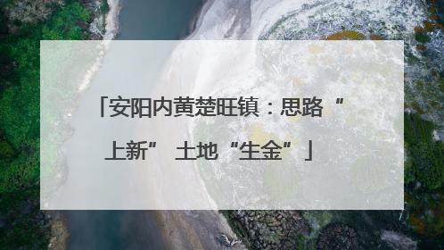 安阳内黄楚旺镇：思路“上新” 土地“生金”