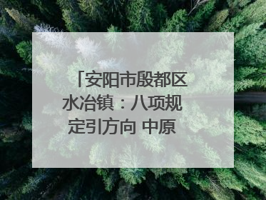 安阳市殷都区水冶镇：八项规定引方向 中原第一镇谱新章