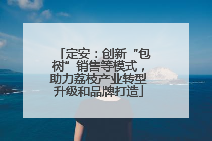 定安：创新“包树”销售等模式，助力荔枝产业转型升级和品牌打造