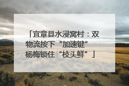 宜章县水浸窝村：双物流按下“加速键” 杨梅锁住“枝头鲜”
