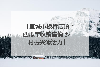 宜城市板桥店镇：西瓜丰收销售俏 乡村振兴添活力