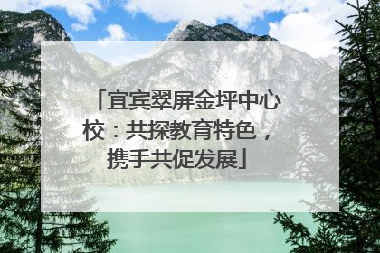 宜宾翠屏金坪中心校：共探教育特色，携手共促发展
