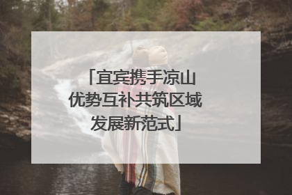 宜宾携手凉山 优势互补共筑区域发展新范式