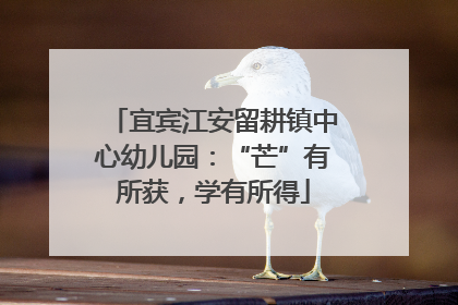 宜宾江安留耕镇中心幼儿园：“芒”有所获，学有所得