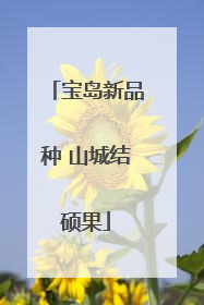 宝岛新品种 山城结硕果
