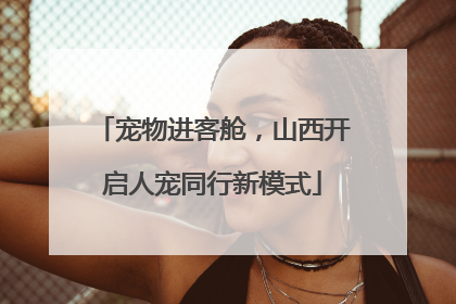 宠物进客舱，山西开启人宠同行新模式