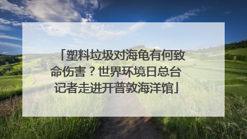 塑料垃圾对海龟有何致命伤害？世界环境日总台记者走进开普敦海洋馆
