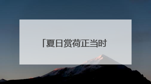 夏日赏荷正当时 茶亭公园展出近200种精品荷花