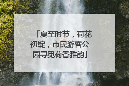 夏至时节，荷花初绽，市民游客公园寻觅荷香雅韵