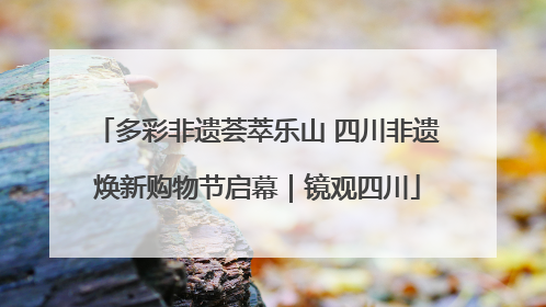 多彩非遗荟萃乐山 四川非遗焕新购物节启幕｜镜观四川