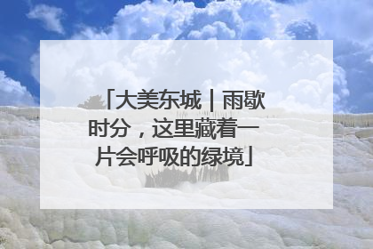 大美东城｜雨歇时分，这里藏着一片会呼吸的绿境