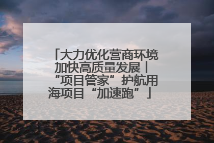 大力优化营商环境 加快高质量发展丨“项目管家”护航用海项目“加速跑”