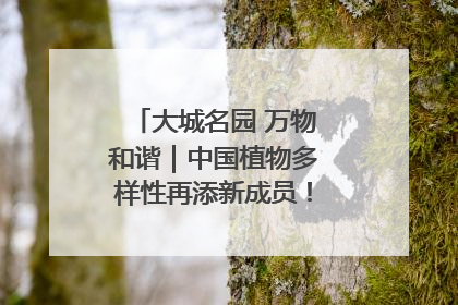 大城名园 万物和谐｜中国植物多样性再添新成员！它只在西藏墨脱