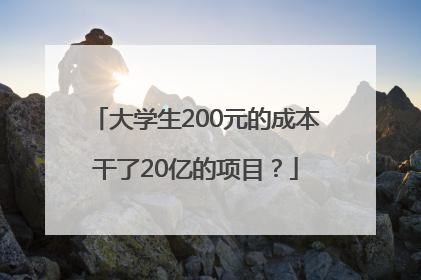 大学生200元的成本干了20亿的项目？