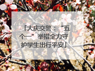 大庆交警：“五个一”举措全力守护学生出行平安