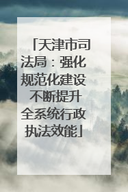 天津市司法局：强化规范化建设 不断提升全系统行政执法效能
