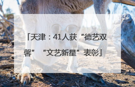 天津：41人获“德艺双馨”“文艺新星”表彰