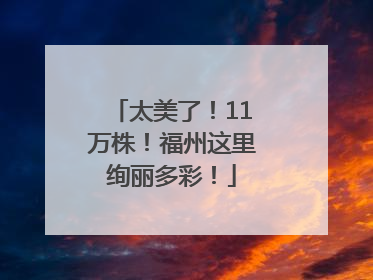 太美了！11万株！福州这里绚丽多彩！