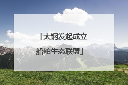 太钢发起成立船舶生态联盟