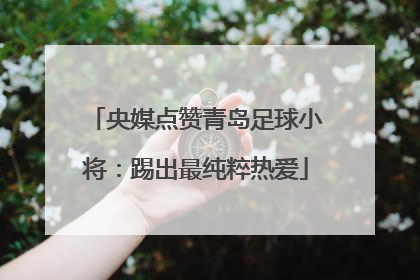 央媒点赞青岛足球小将：踢出最纯粹热爱