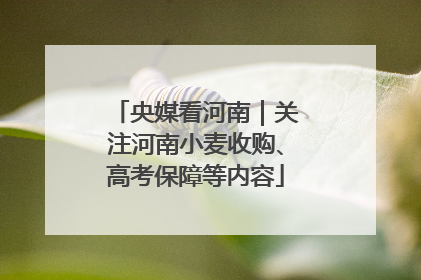 央媒看河南｜关注河南小麦收购、高考保障等内容