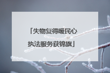 失物复得暖民心 执法服务获锦旗