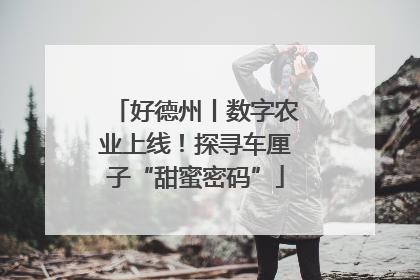 好德州丨数字农业上线！探寻车厘子“甜蜜密码”