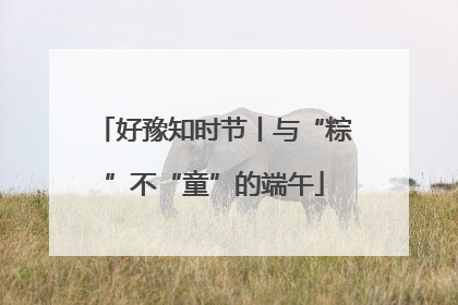 好豫知时节丨与“粽”不“童”的端午