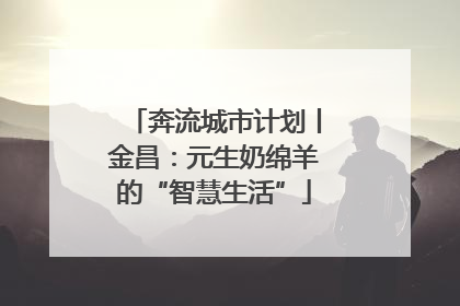 奔流城市计划丨金昌：元生奶绵羊的“智慧生活”