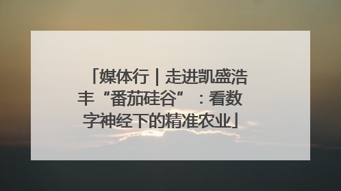 媒体行｜走进凯盛浩丰“番茄硅谷”：看数字神经下的精准农业
