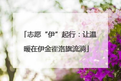 志愿“伊”起行：让温暖在伊金霍洛旗流淌