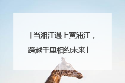 当湘江遇上黄浦江，跨越千里相约未来