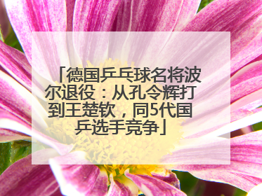德国乒乓球名将波尔退役：从孔令辉打到王楚钦，同5代国乒选手竞争