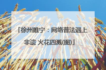 徐州睢宁：网络普法遇上非遗 火花四溅(图)