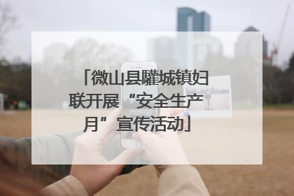 微山县驩城镇妇联开展“安全生产月”宣传活动