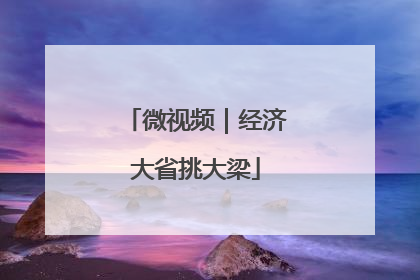 微视频｜经济大省挑大梁
